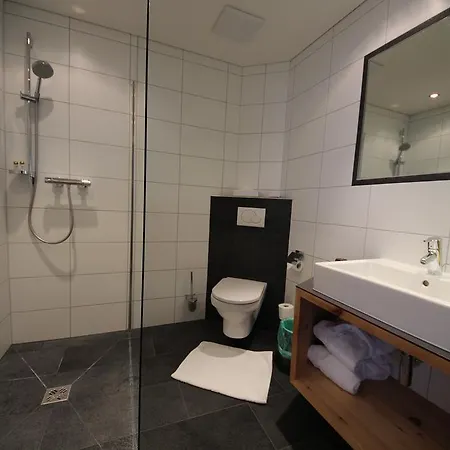 جارني لارتشينهوف 3*