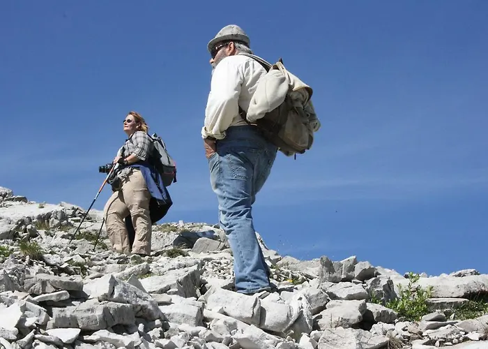 Hotel Garni Lärchenhof Lech am Arlberg
